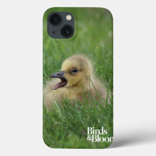 Canadian Goose Chick iPhone 13 Case