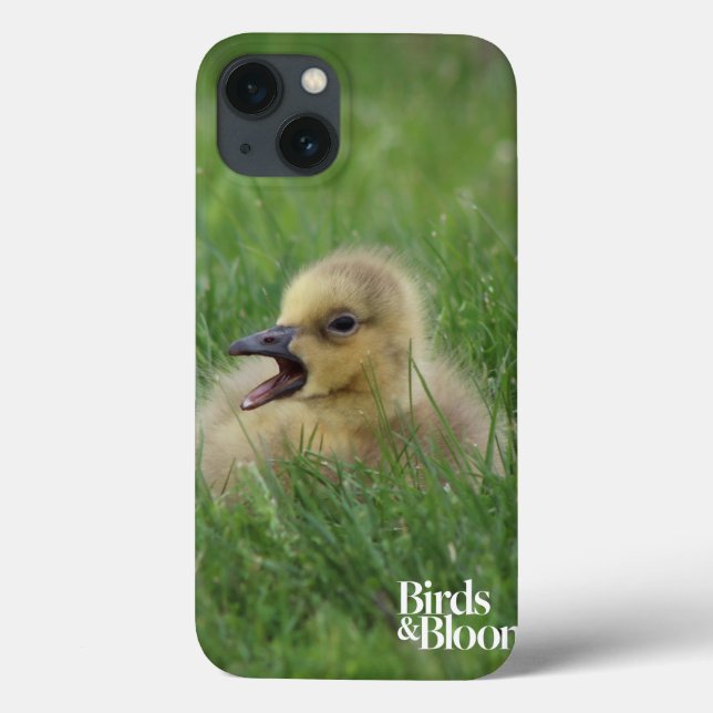 Canadian Goose Chick Case-Mate iPhone Case (Back)