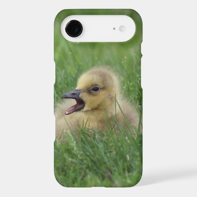 Canadian Goose Chick Case-Mate Samsung Galaxy Case (Back)