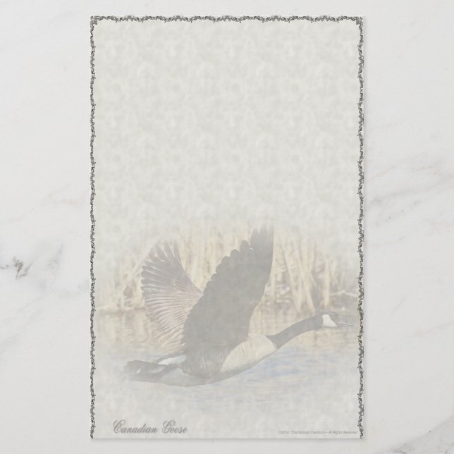 Canadian Goose Custom Stationery (Front)