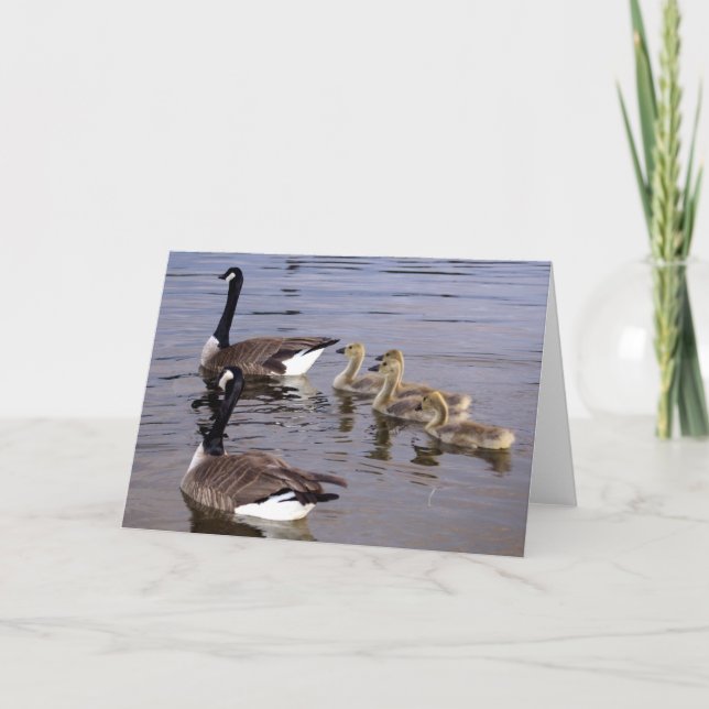 Canadian Goose Family Card (Front)