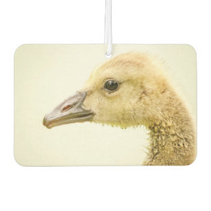Canadian Goose (Gosling) Car Air Freshener