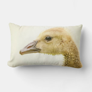 Canadian Goose (Gosling) Lumbar Cushion