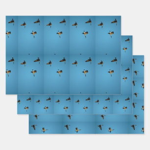 Canadian goose in flight  wrapping paper sheet
