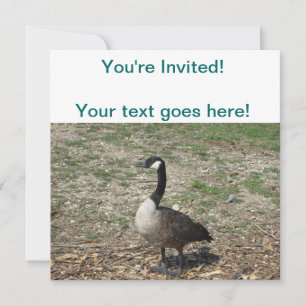 Canadian Goose Invitation