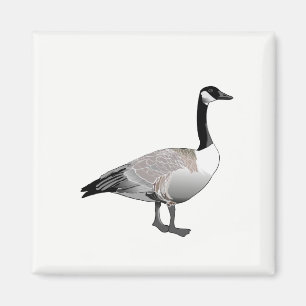 Canadian Goose Magnet