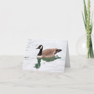 Canadian Goose note card (blank)