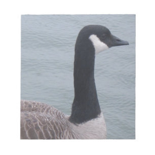 Canadian Goose on a Lake Notepad