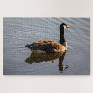 Canadian Goose on Lake Jigsaw Puzzle