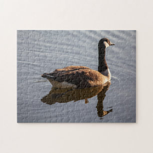 Canadian Goose on Lake Jigsaw Puzzle