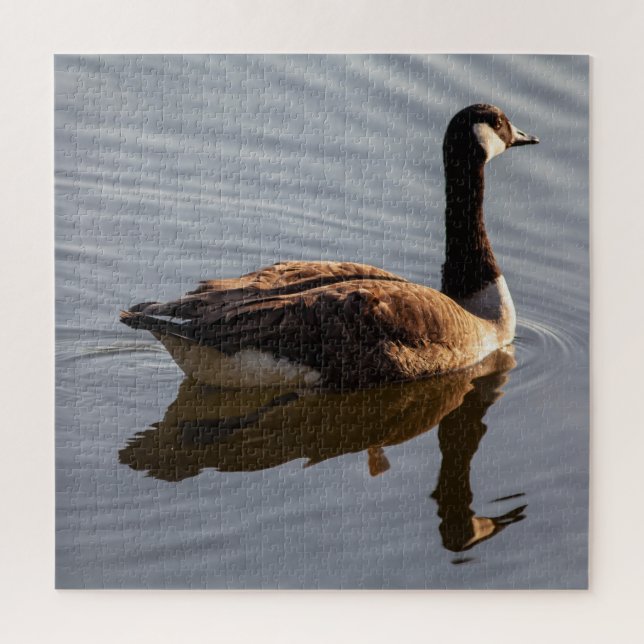 Canadian Goose Swimming on Lake Jigsaw Puzzle (Vertical)