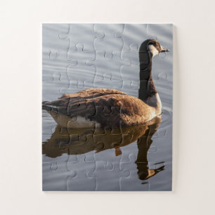 Canadian Goose Swimming on Lake Jigsaw Puzzle