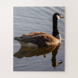 Canadian Goose Swimming on Lake Jigsaw Puzzle