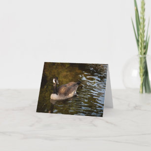 Canadian Goose Thank You Card