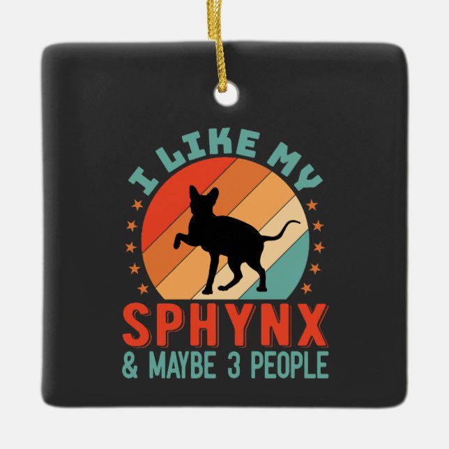 Canadian Hairless Sphynx Cat Owner Humour Ceramic Ornament (Front)