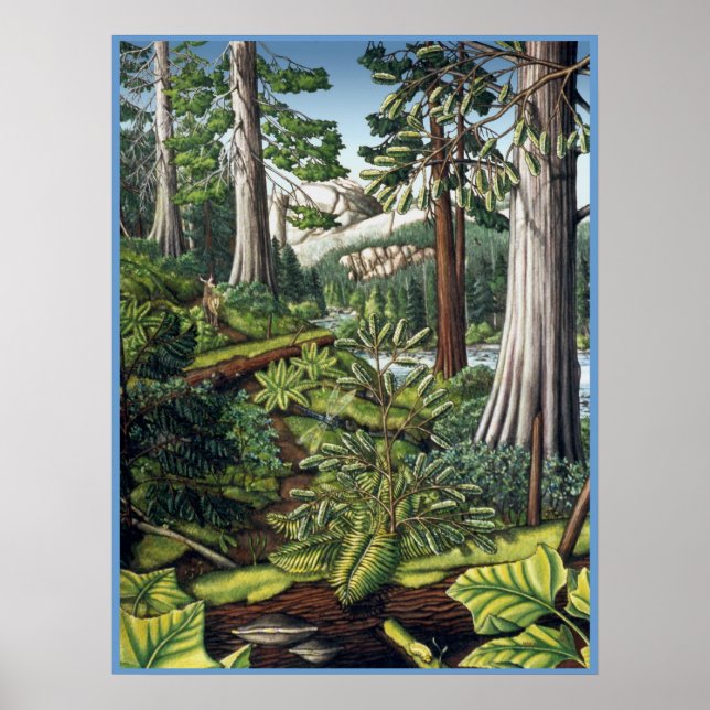 Canadian Landscape Painting Poster by Kim Hunter (Front)