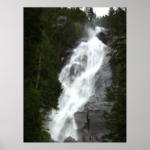 Canadian Landscape West Coast Forest Art Print