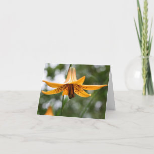 Canadian Lily Flower Photography Note Card