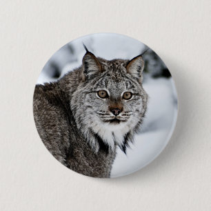Canadian Lynx in the Snow 6 Cm Round Badge