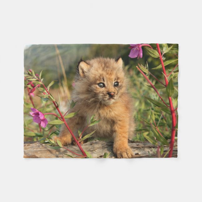 Canadian Lynx Kitten, Alaska Fleece Blanket (Front (Horizontal))
