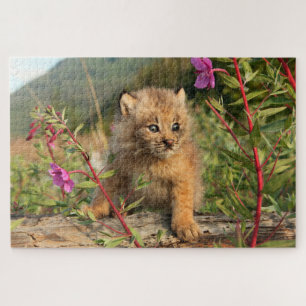 Canadian Lynx Kitten, Alaska Jigsaw Puzzle