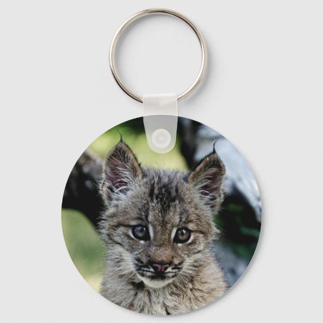 Canadian Lynx Kitten Key Ring (Front)