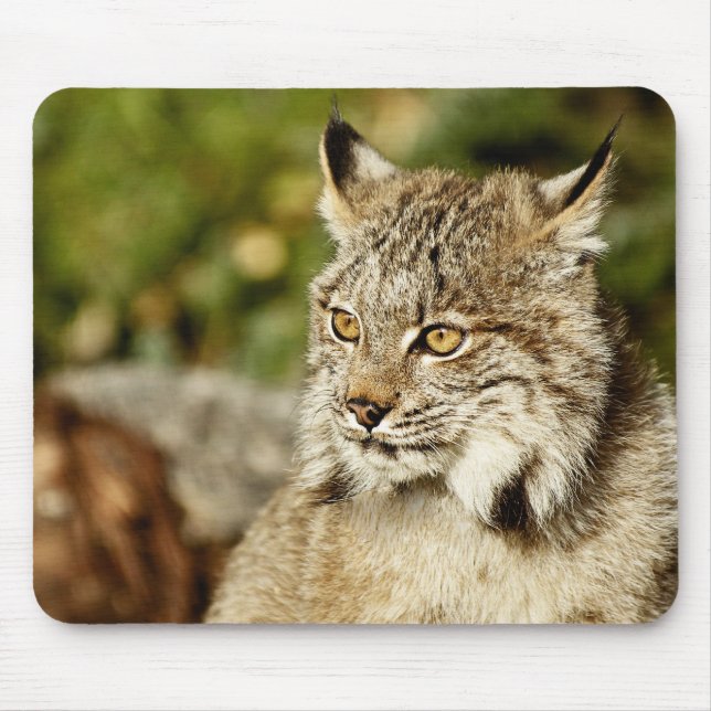 Canadian Lynx Mouse Pad (Front)