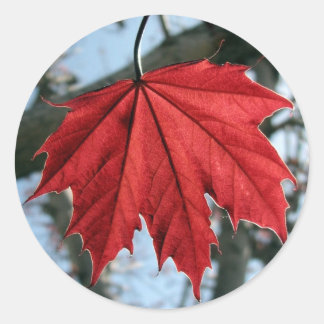 Canadian Maple Leaf Round Stickers