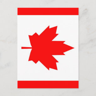 Canadian Maple Postcard