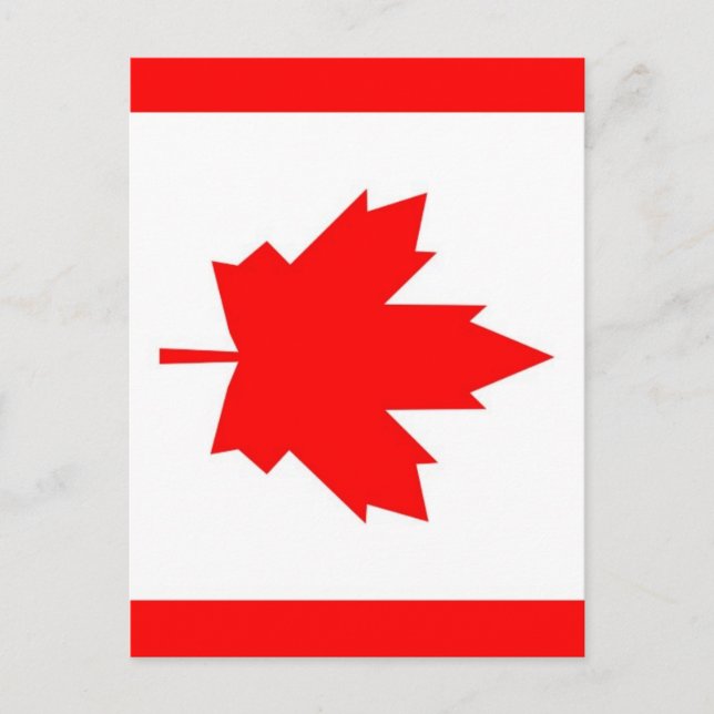 Canadian Maple Postcard (Front)