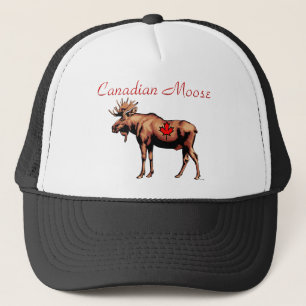 Canadian Moose Hat