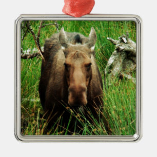 Canadian Moose Metal Ornament