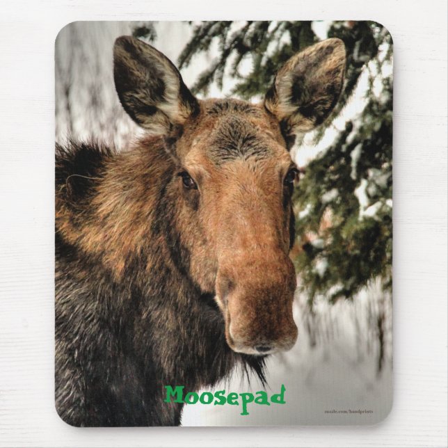 Canadian Moose Portrait Funny Wildlife Mousemat (Front)