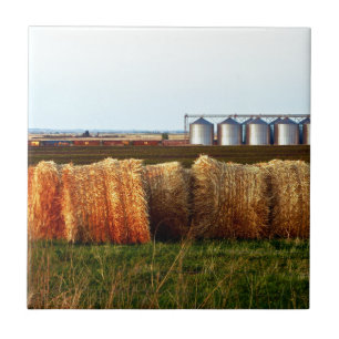 Canadian Prairies Ceramic Tile