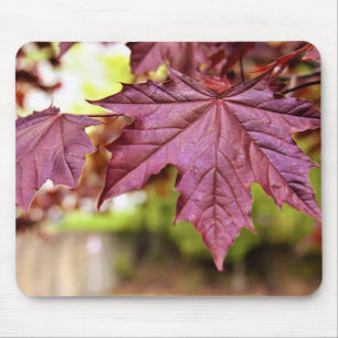 Canadian Red Maple Leaves Mouse Pad