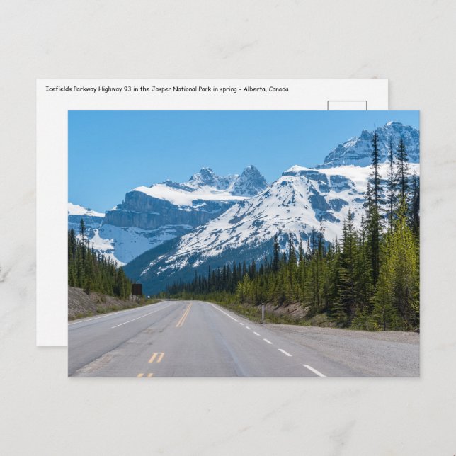 Canadian Rockies - Icefields Parkway Highway 93 Postcard (Front/Back)