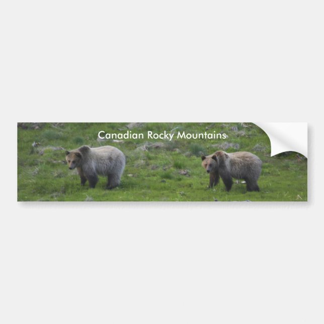 Canadian Rocky Mountains Bumper Sticker (Front)