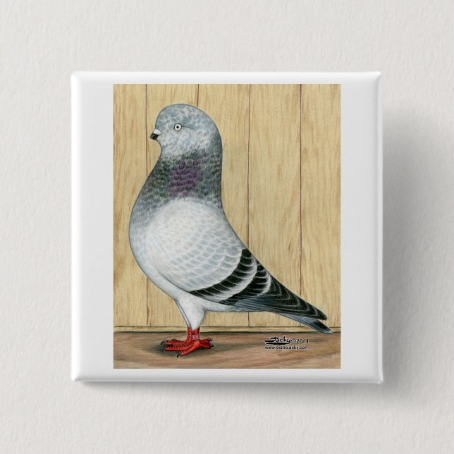 Canadian Show Tippler Pigeon Blue Grizzle 15 Cm Square Badge (Front)