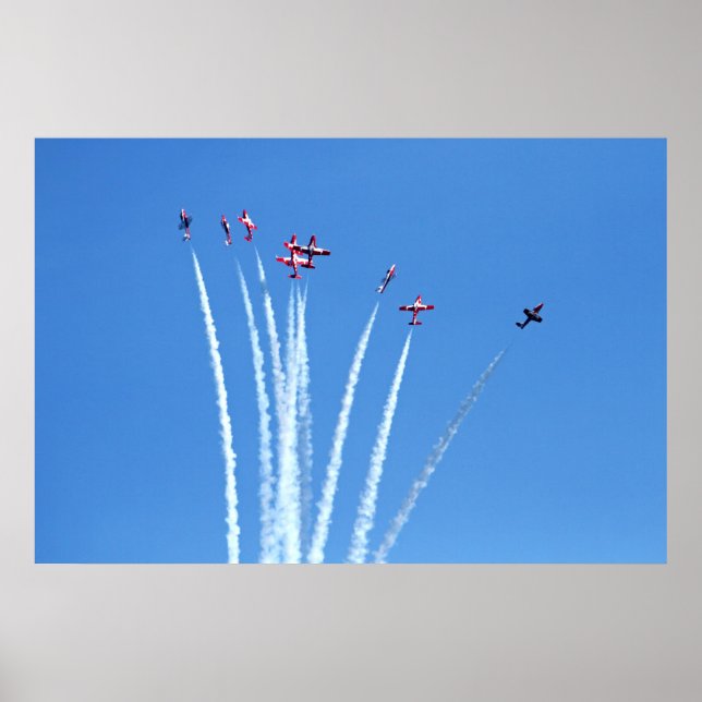 Canadian Snowbirds Planes Poster (Front)
