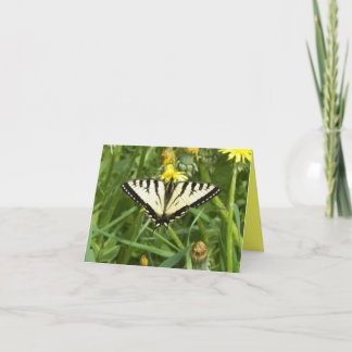 Canadian Tiger Swallowtail Butterfly Notecard