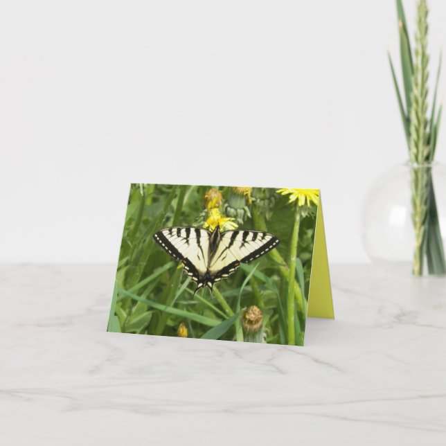 Canadian Tiger Swallowtail Butterfly Notecard (Front)