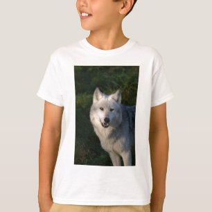 Canadian Timber Wolf Kids Tee Shirt