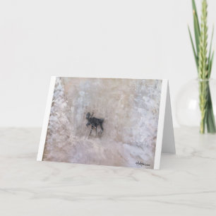 CANADIAN WINTER, NORTHERN ALBERTA, MOOSE IN SNOW, CARD