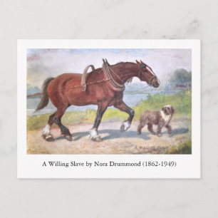 Canal barge horse and dog postcard