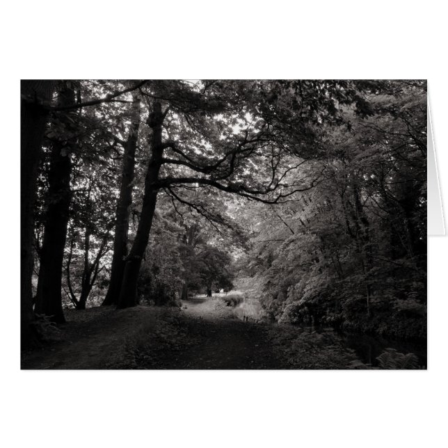 Canal, Bute Park, Cardiff, Wales (Front Horizontal)