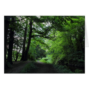 Canal, Bute Park, Cardiff, Wales