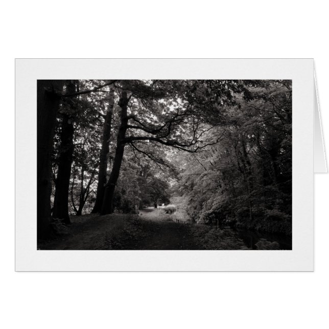 Canal, Bute Park, Cardiff, Wales (Bordered) (Front Horizontal)