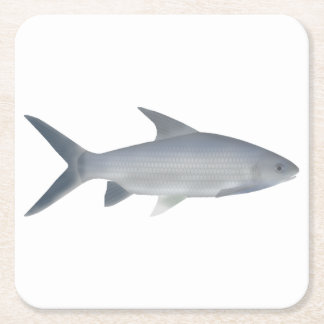 Canara Barb Square Paper Coaster