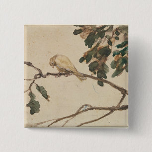 Canary on an Oak Tree Branch 15 Cm Square Badge