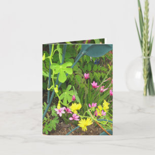 Canary & RedStar Note Card